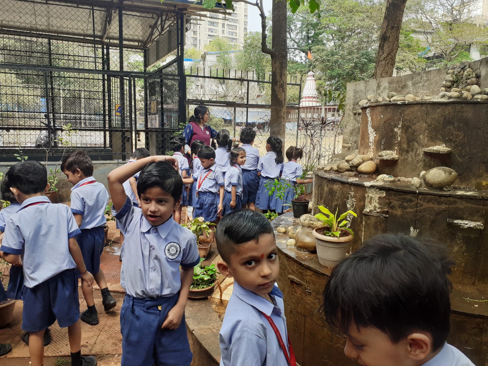 Garden
